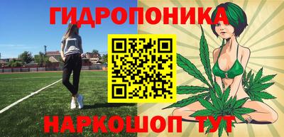 дмт Камышлов