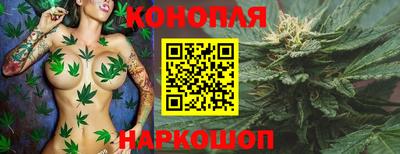 дмт Камышлов