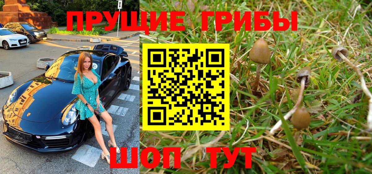 Псилоцибиновые грибы GOLDEN TEACHER Владимир