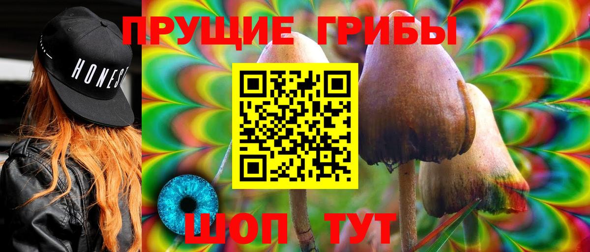 купить   Вход с VPN  Владимир  Псилоцибиновые грибы мицелий 